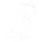 VolleyBull